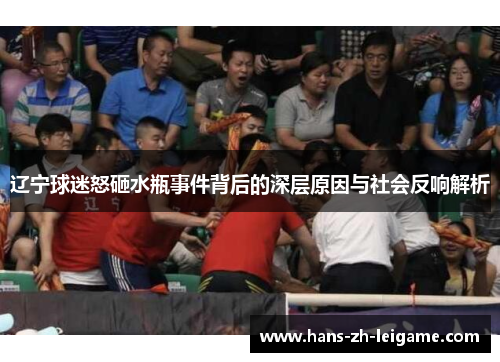 辽宁球迷怒砸水瓶事件背后的深层原因与社会反响解析