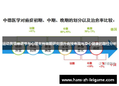 运动员情绪调节与心理支持策略研究提升竞技表现与身心健康的路径分析