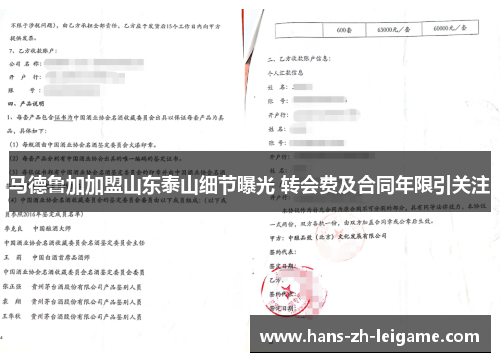 马德鲁加加盟山东泰山细节曝光 转会费及合同年限引关注 马德鲁加加盟山东泰山细节曝光 转会费及合同年限引关注